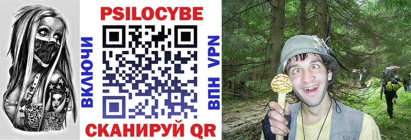 Купить закладки  Печоры  Псилоцибиновые грибы Psilocybine cubensis 